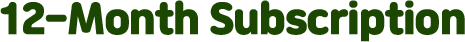 12-Month Subscription